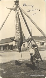 Sir Harry Signed With 260 LBS Swordfish Signed Undated